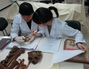 연세대학교 구강생물학교실 (해부학) 이미지