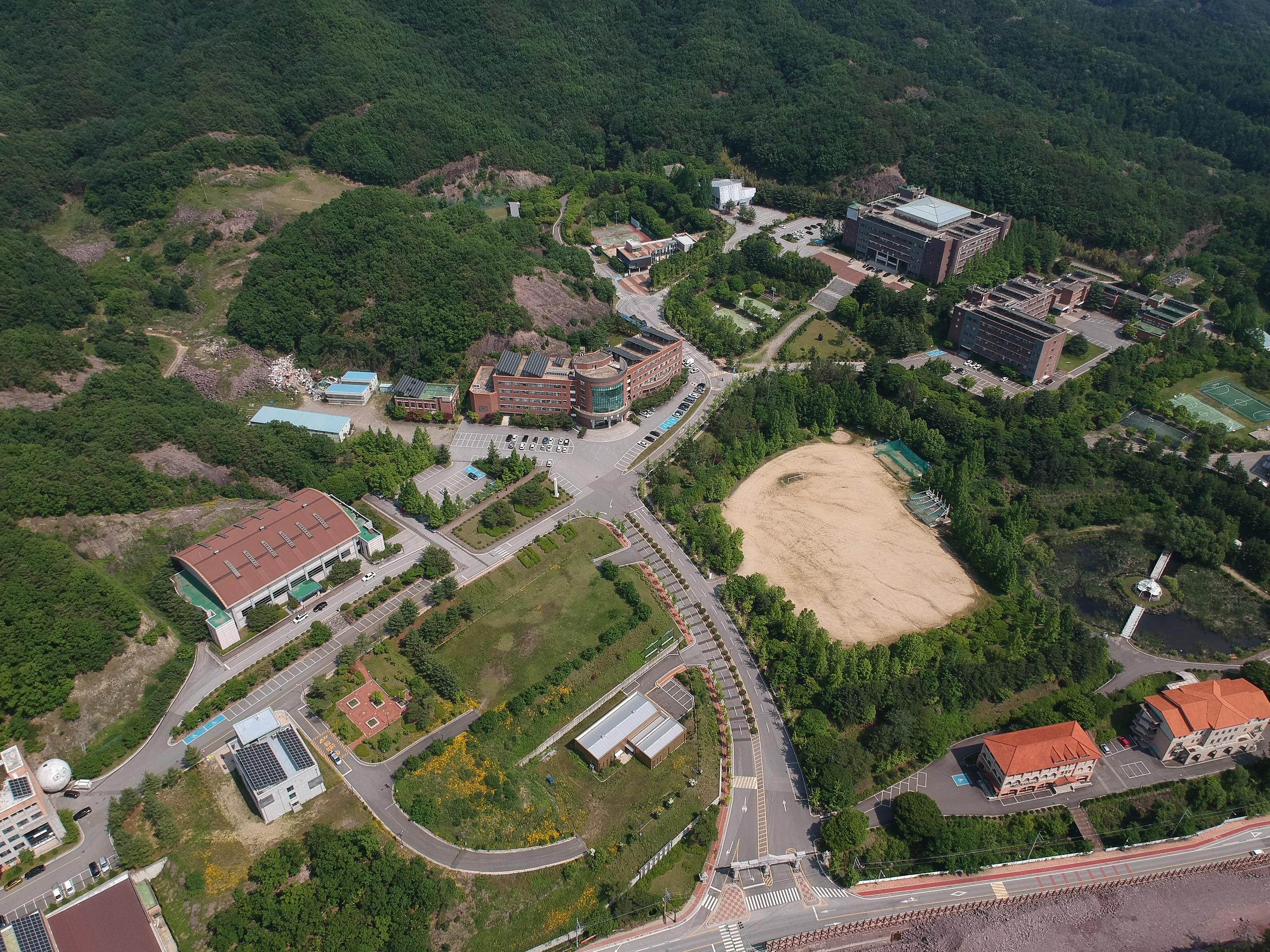 Department of Paramedicine