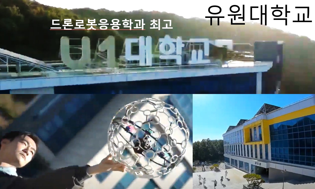 사진의 설명을 넣어 주세요