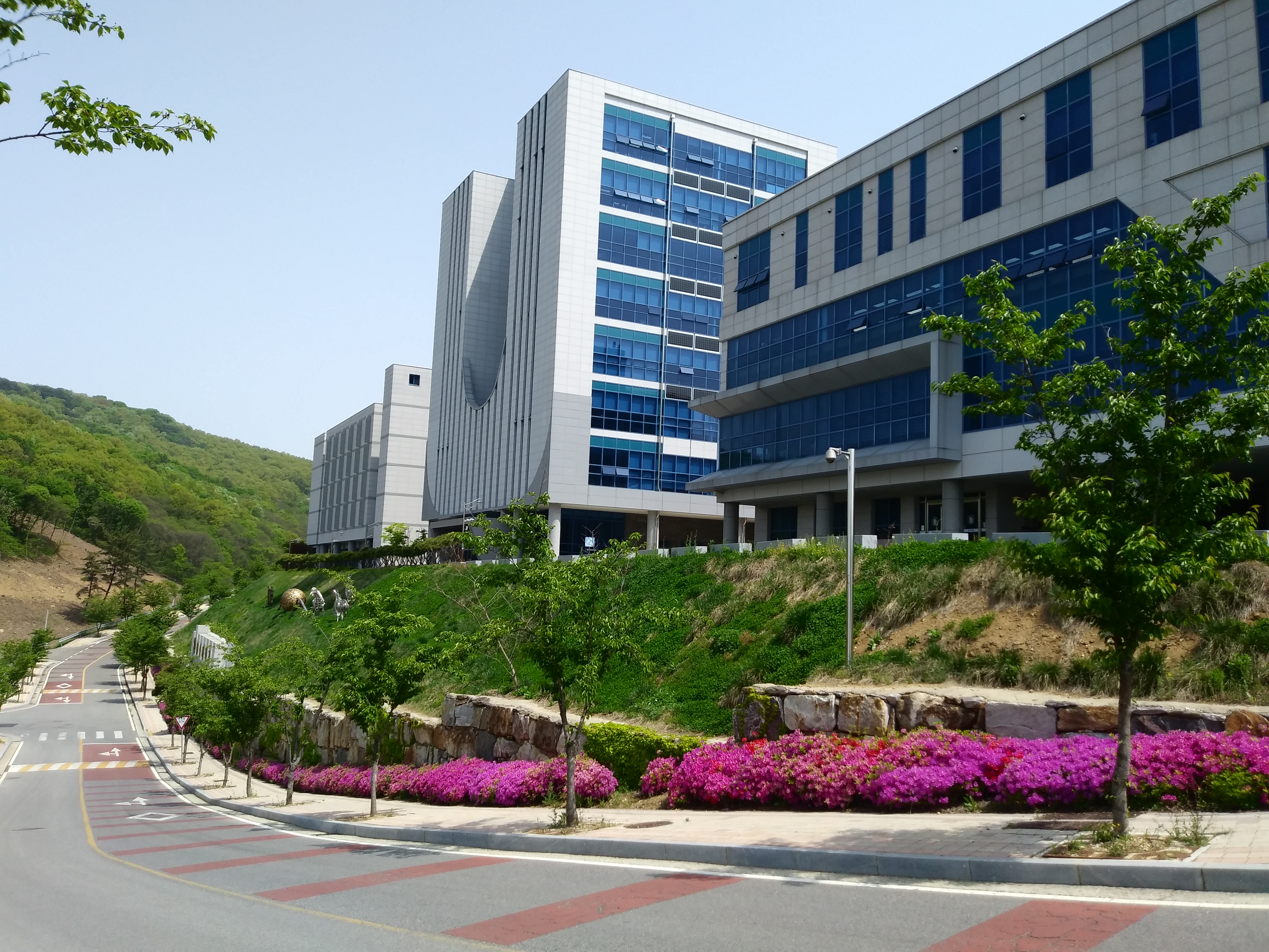 2학년이 찍은 학교 사진